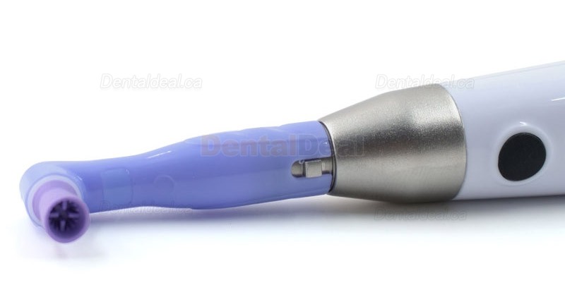 Electric Dental Hygiene Prophy Handpiece 360&deg; Swivel + 2 Prophy Angles